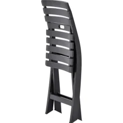 vidaXL - Tuinstoel - Antraciet - Kunststof - 2 stuks Discount