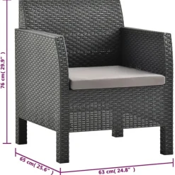 vidaXL - Tuinstoel - Antraciet - Polypropyleen Online