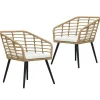 vidaXL - Tuinstoel - Bruin - Poly rattan - 2 stuks