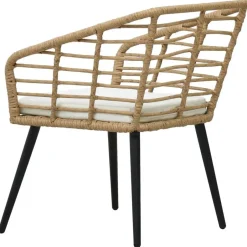 vidaXL - Tuinstoel - Bruin - Poly rattan - 2 stuks