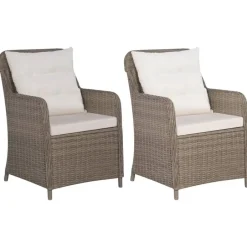 vidaXL - Tuinstoel - Bruin - Poly rattan - 2 stuks Outlet