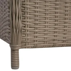 vidaXL - Tuinstoel - Bruin - Poly rattan - 2 stuks Outlet