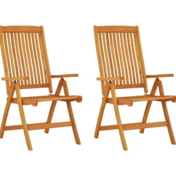 vidaXL - Tuinstoel - Bruin - Eucalyptushout - 2 stuks - Inklapbaar Hot