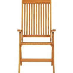 vidaXL - Tuinstoel - Bruin - Eucalyptushout - 2 stuks - Inklapbaar Hot