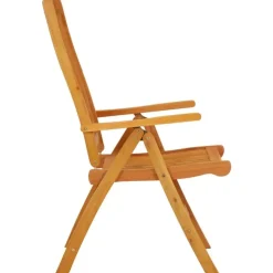 vidaXL - Tuinstoel - Bruin - Eucalyptushout - 2 stuks - Inklapbaar Hot