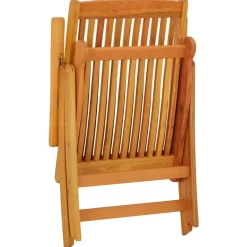 vidaXL - Tuinstoel - Bruin - Eucalyptushout - 2 stuks - Inklapbaar Hot