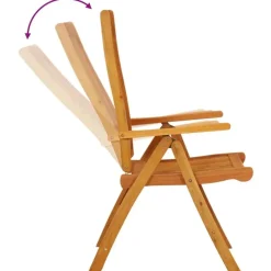 vidaXL - Tuinstoel - Bruin - Eucalyptushout - 2 stuks - Inklapbaar Hot