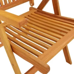 vidaXL - Tuinstoel - Bruin - Eucalyptushout - 2 stuks - Inklapbaar Hot