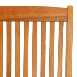 vidaXL - Tuinstoel - Bruin - Eucalyptushout - 2 stuks - Inklapbaar Hot