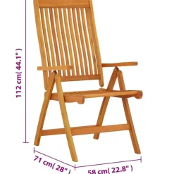 vidaXL - Tuinstoel - Bruin - Eucalyptushout - 2 stuks - Inklapbaar Hot