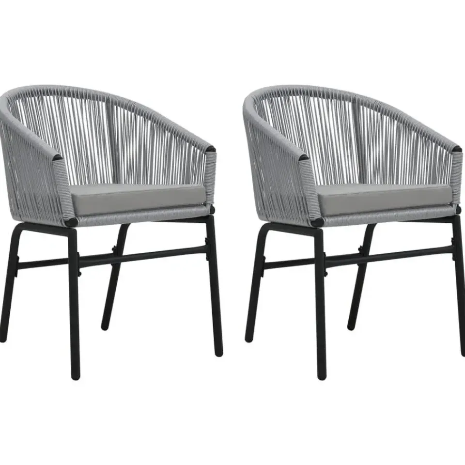 vidaXL - Tuinstoelen - Grijs - Polyetheen - 2 stuks Hot