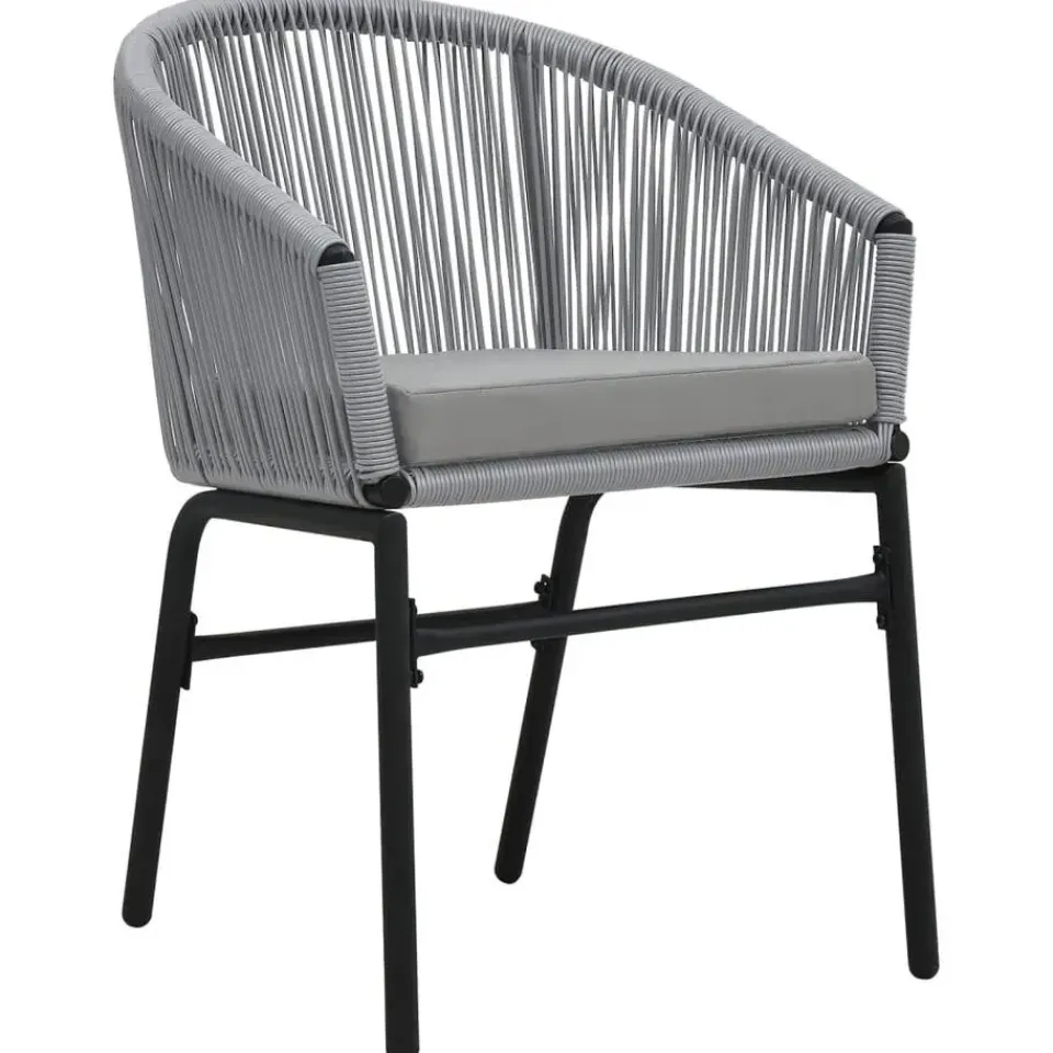 vidaXL - Tuinstoelen - Grijs - Polyetheen - 2 stuks Hot