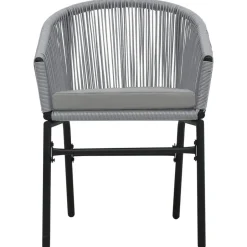 vidaXL - Tuinstoelen - Grijs - Polyetheen - 2 stuks Hot