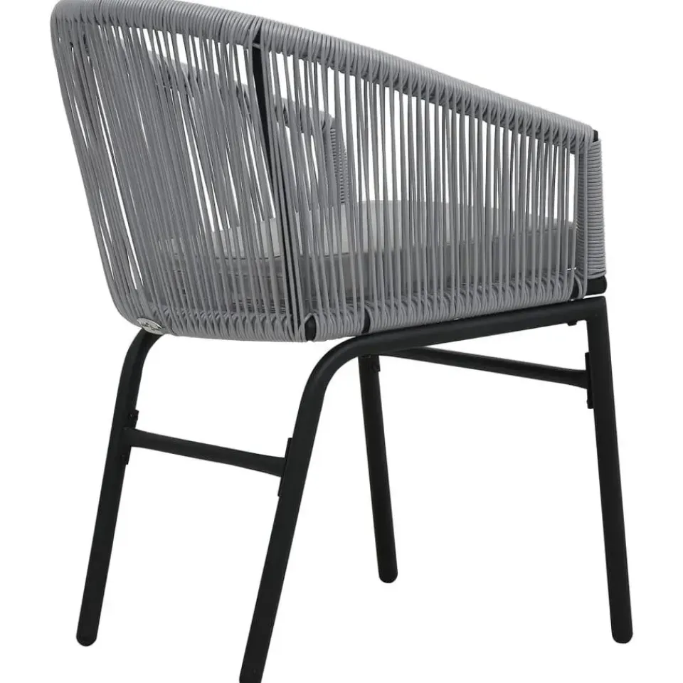 vidaXL - Tuinstoelen - Grijs - Polyetheen - 2 stuks Hot