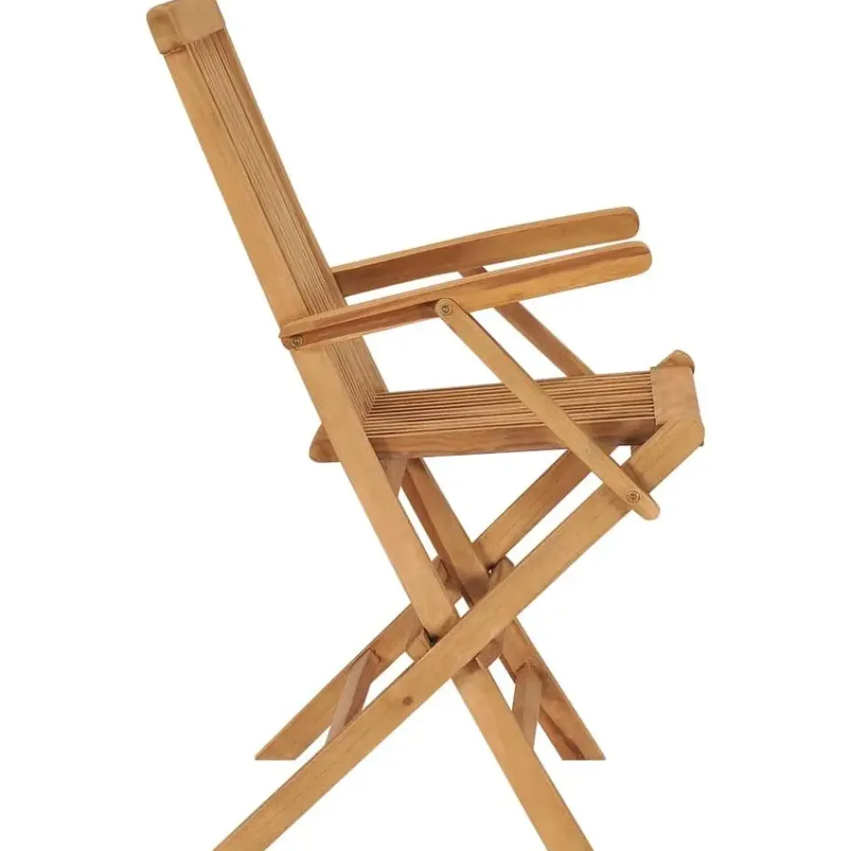 vidaXL - Tuinstoelen - Inklapbaar - Massief teakhout - 2 stuks Online
