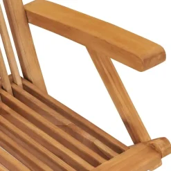 vidaXL - Tuinstoelen - Inklapbaar - Massief teakhout - 2 stuks Online
