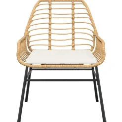 vidaXL - Tuinstoelen - Kussens - Bruin - Poly rattan - 2 stuks Discount