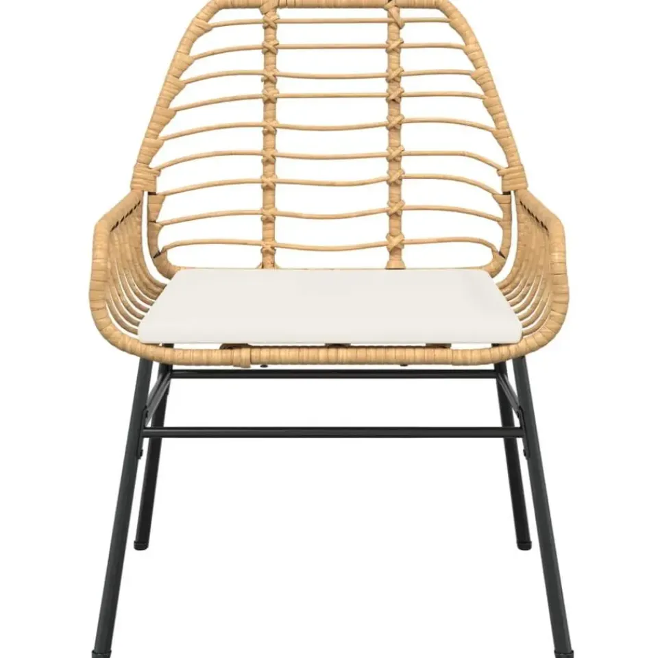 vidaXL - Tuinstoelen - Kussens - Bruin - Poly rattan - 2 stuks Discount