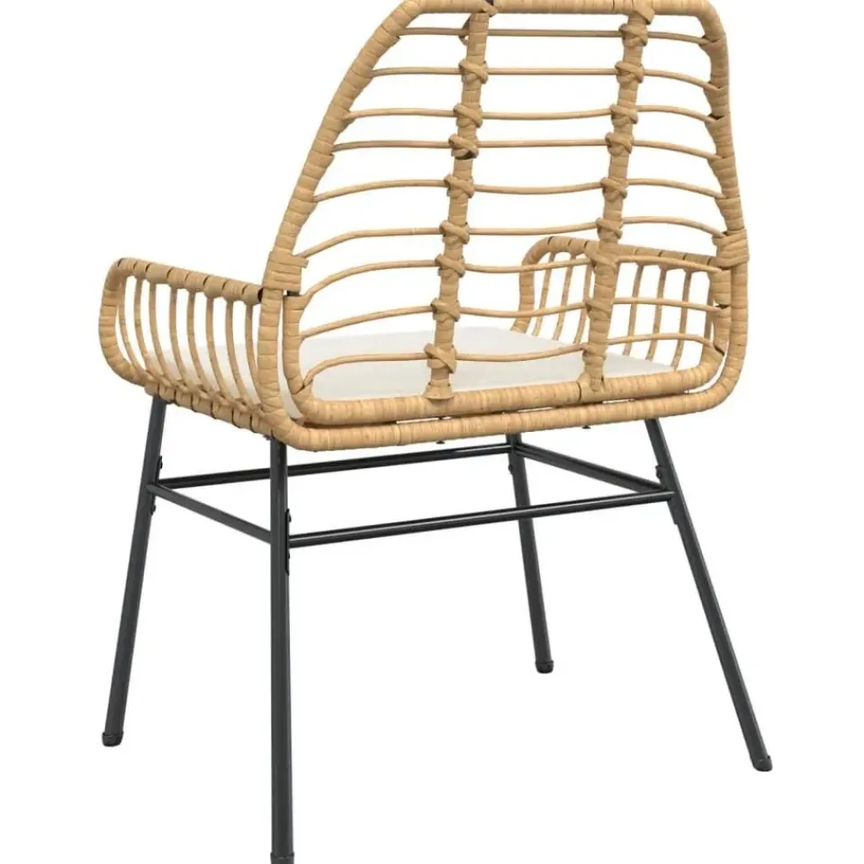 vidaXL - Tuinstoelen - Kussens - Bruin - Poly rattan - 2 stuks Discount