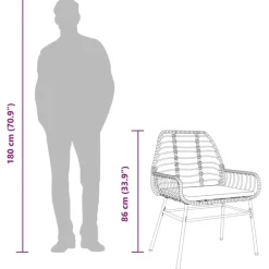 vidaXL - Tuinstoelen - Kussens - Bruin - Poly rattan - 2 stuks Discount