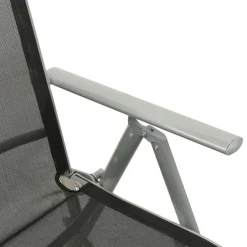 vidaXL - Tuinstoelen - Zilverkleurig - Aluminium - 2 stuks - Verstelbaar Outlet