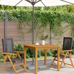 vidaXL - Tuinstoelen - Zwart - Acaciahout - 2 stuks - 57x70x109 cm Best