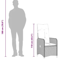 vidaXL - Tuinstoelen met kussens - Grijs - Poly Rattan - 2 stuks Best