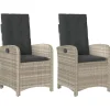 vidaXL - Tuinstoelen verstelbaar - Grijs - Poly rattan - 2 stuks - Met kussens Discount