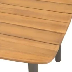 vidaXL - Tuintafel En Stoel - Bruin - Hout New