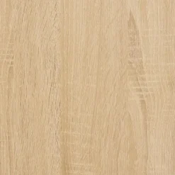 vidaXL - TV-meubel met 2 deuren 2 vakken - Sonoma eiken - Hout - 100x35x65 cm Clearance