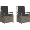 vidaXL - Verstelbare tuinstoelen - Grijs - Poly rattan - 2 stuks Best