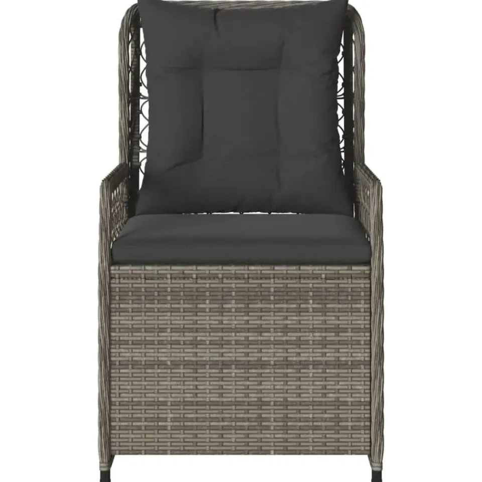 vidaXL - Verstelbare tuinstoelen - Grijs - Poly rattan - 2 stuks Best