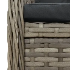 vidaXL - Verstelbare tuinstoelen - Grijs - Poly rattan - 2 stuks Best