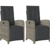 vidaXL - Verstelbare tuinstoelen - Voetensteun - Grijs - Poly rattan - 2 stuks Clearance