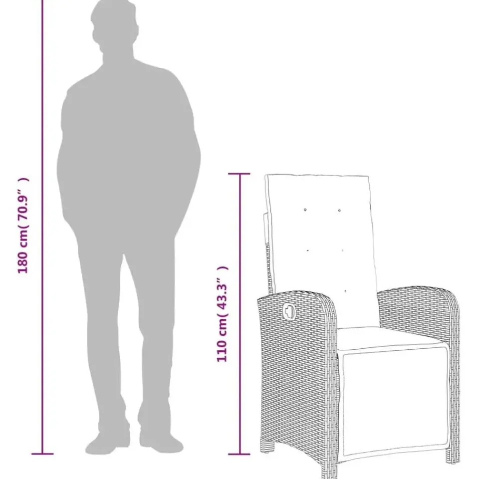 vidaXL - Verstelbare tuinstoelen - Voetensteun - Grijs - Poly rattan - 2 stuks Clearance