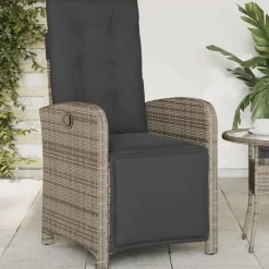 vidaXL - Verstelbare tuinstoelen - Voetensteun - Grijs - Poly rattan - 2 stuks Clearance