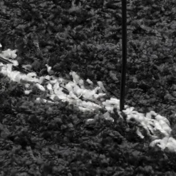 vidaXL - Vloerkleed - Zwart en crème - 100 x 200 cm Best