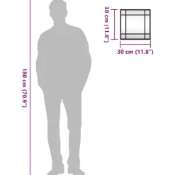 vidaXL - Wandspiegel - Zwart - IJzer - 30 x 30 cm Best