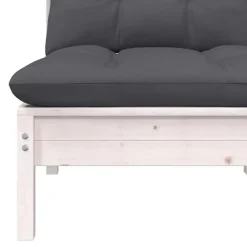 vidaXL - 2-zitsbank - Wit - Grenenhout