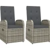 vidaXL - Zitstoel - Grijs - Poly rattan - 2 stuks Outlet