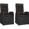 vidaXL - Zitstoel - Zwart - Poly rattan - 2 stuks Outlet