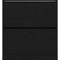 vidaXL - Zwart Schoenenkast met 2 vakken - Bewerkt hout - 80x21x87.5 cm Online