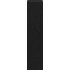 vidaXL - Zwart Schoenenkast met 2 vakken - Bewerkt hout - 80x21x87.5 cm Online
