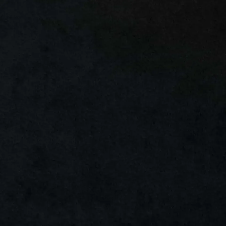 vidaXL Gordijnen met ringen - Verduisterend - Zwart Fluweel - 140x175 cm - 2 St. Online