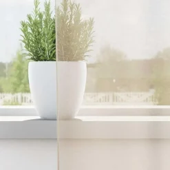 vidaXL Gordijnen van voile met lussen - Crème - 140x245 cm - Stof - 2 Stuks New