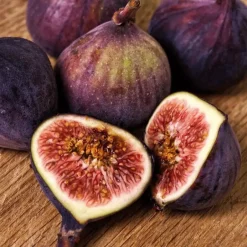 Plant in a Box Vijgenboom - Set van 2 - Ficus Carica - Hoogte 70-90cm - ⌀21cm