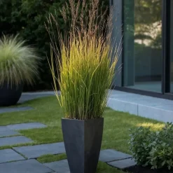 Plant in a Box Vingergras - Panicum virgatum 'Heavy Metal' - Hoogte 40-60cm - ⌀23cm Discount