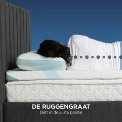 Vitapur Kussen - Hoofdkussen nekklachten - 40x60 cm Best