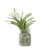 Plant in a Box Witte Orchidee met vaas - Vanda 'White' - Hoogte 40-50cm - ⌀14cm New